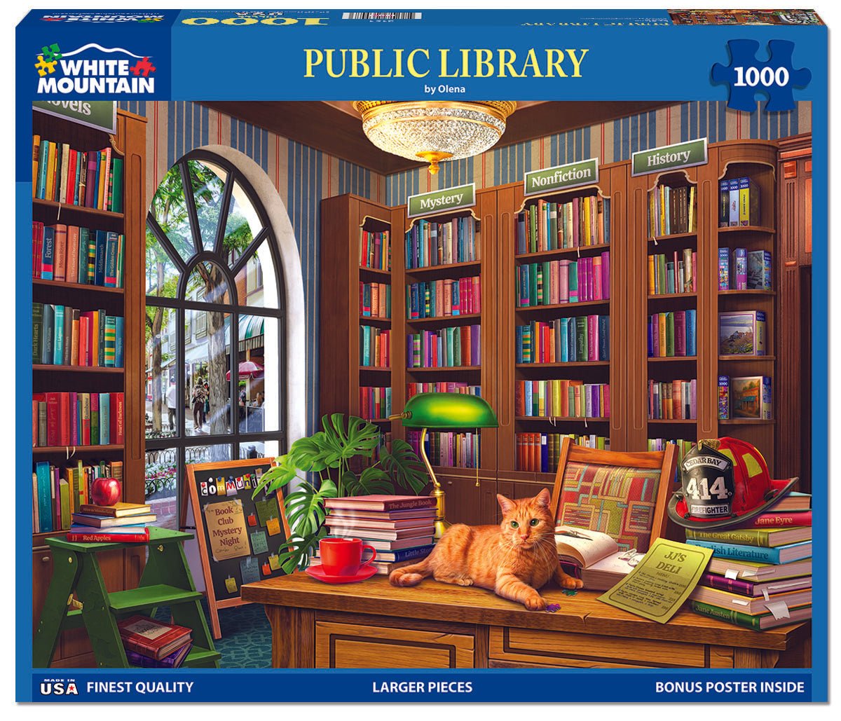 Public Library (2154pz) - 1000 Piece Jigsaw Puzzle