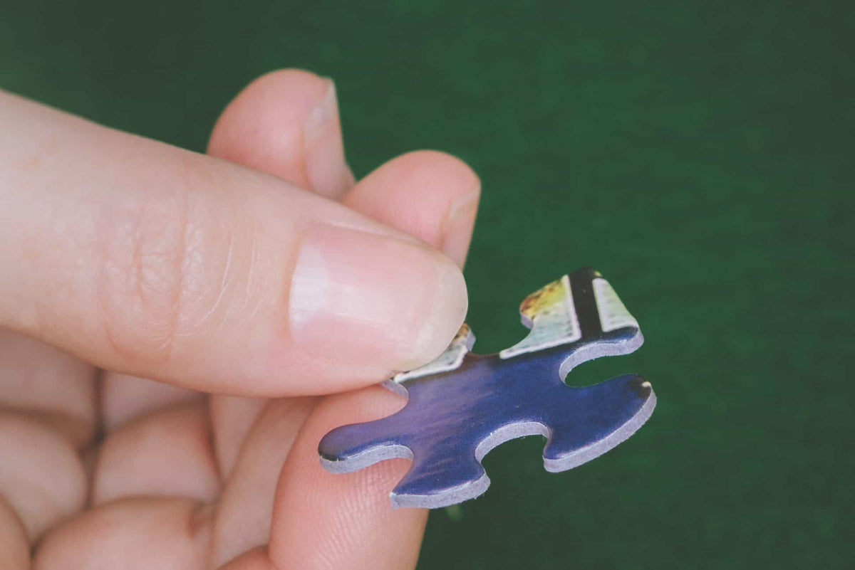 Things I Ate As A Kid (1110pz) - 1000 Piece Jigsaw Puzzle